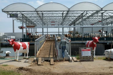 (FOTO) Holanđani napravili plutajuću farmu i to funkcioniše!