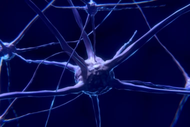 Ljudsko telo je kosmos za sebe: Postoje ćelije koje imaju 11 dimenzija