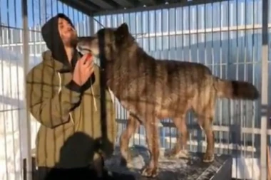 (VIDEO) Ovoliko ljubavi na jednom mestu niste videli! Andrej ima najboljeg ljubimca na svetu - crnog kanadskog vuka