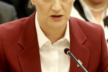 Brnabić: Predstavnici opozicije u Briselu govore neistine