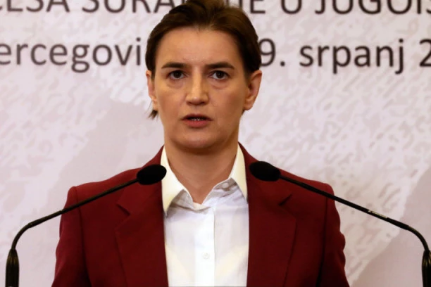 Premijerka za Vašington tajms: Možemo da zaštitimo i demokratiju i naše građane od korone