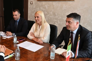 Popović-Ivković: Srbija i Meksiko imaju snažno prijateljstvo