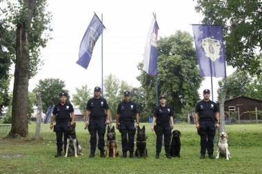 PSI RADE KAO SUPERPOLICAJCI: Na poslu sa životinjama na službenom zadatku (FOTO GALERIJA)