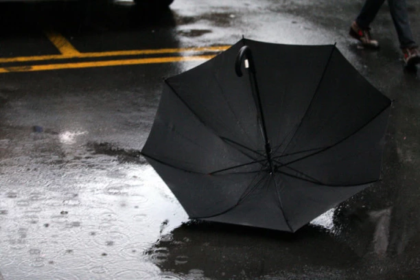 NEVREME RUŠI STABLA, KIŠA NE PRESTAJE! Kolaps usled OLUJE, vatrogasci neprestano intervenišu!