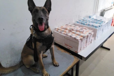 Carinski pas otkrio krijumčare cigareta
