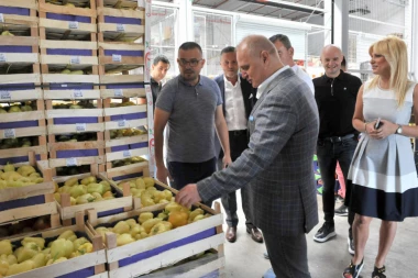 Vesić: Nacionalna veletržnica i poljoprivreda su šansa za razvoj Beograda