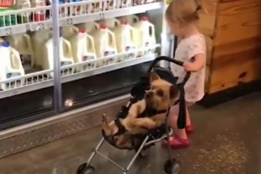 (VIDEO) Kad devojčica i pas krenu zajedno u šoping, to mora da izgleda ovako