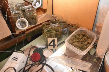 (FOTO) Lice vođe krimi grupe iz Stare Pazove: Koluvija razvio agro biznis, ali nelegalan