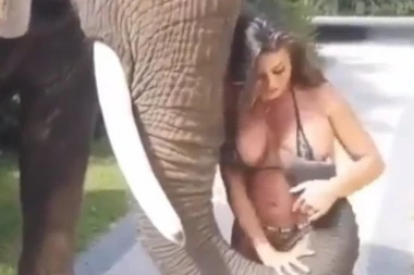 (VIDEO) URNEBESAN SNIMAK: Slon surlom pipkao bujne grudi prolaznice, a onda je ona završila gola