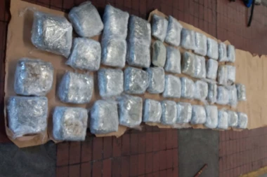 Razbijen lanac dilera droge u Beogradu: Zaplenjeno 18 kilograma marihuane!