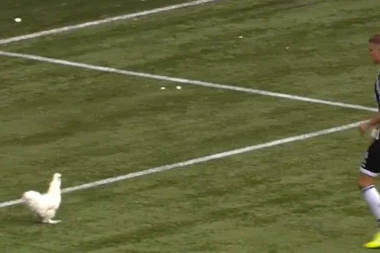 (VIDEO) Hit u Holandiji: Uprava promenila ime stadiona, navijači odgovorili kokoškom i prekidom utakmice!