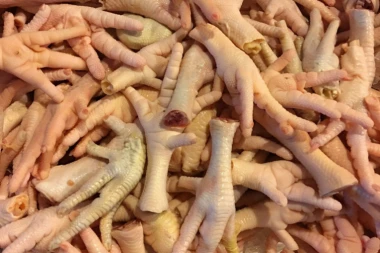 (FOTO) "Ekološka" Crna Gora! 5 tona kokošjih nogica bačeno pored Morače