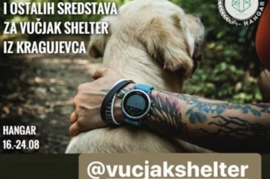 HUMANA AKCIJA: Pomozimo Dejanu koji brine o više od 500 pasa!