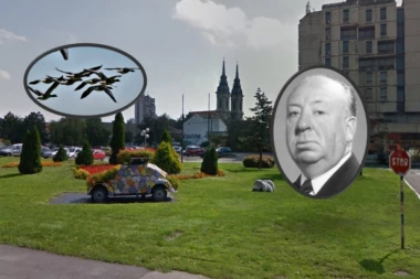 Hičkok u Pančevu! U naselju Tesla građani zatekli horor scene