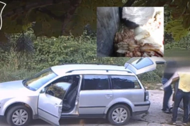 (VIDEO) BRUKA u Čačku! Otpad od zaklanih svinja bacili u kontejner u parku