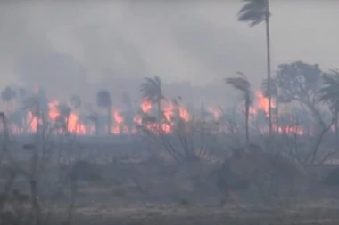(VIDEO) Gori Bolivija! Požari se šire velikom brzinom zbog kojih su odloženi izbori
