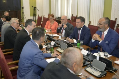 Mekalister sa poslanicima u Skupštini Srbije