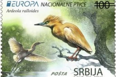 POTPUNO DRUGAČIJA OD OSTALIH: Žuta čaplja iz Srbije u borbi za najlepšu poštansku markicu Evrope