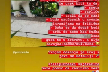 Ako si u potrazi za nekim ko traži da se mazi, tvom čekanju je KRAJ!  Pet malih maca traži dom, hajde da ih udomimo