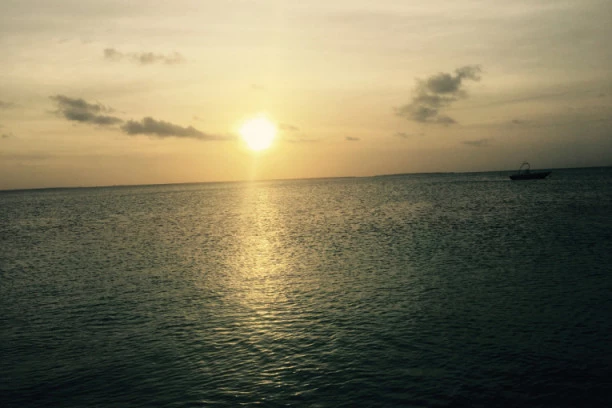 Predviđanja stručnjaka: Očekuje nas pravi potop za 80 godina?!