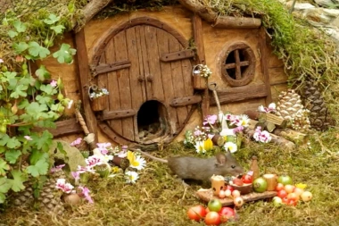 (VIDEO) PRESLATKO: Čovek otkrio porodicu miševa koji žive u njegovom vrtu i odlučio da im sagradi selo