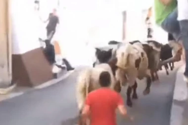 (VIDEO) OVAJ BIK ZNA KUNG FU! Zakucao za zid tipa koji je trčao pored njega