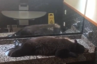 (VIDEO) Čuli buku u ženskom toaletu, kada su otvorili vrata pretrnuli od straha