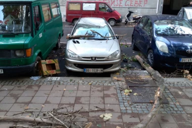 (FOTO) Nevreme u Beogradu: Grane pale na automobil u Kosovskoj