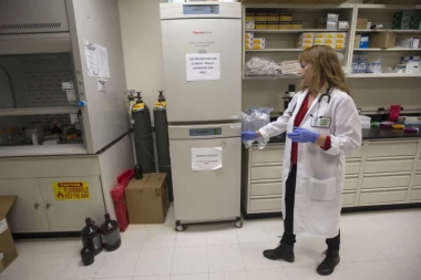 Afera sa bankom matičnih ćelija: Podneta krivična prijava protiv "Krio sejva"