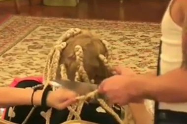 Horor u Parovima: Prišao cimerki iza leđa i počeo da joj SEČE KOSU!