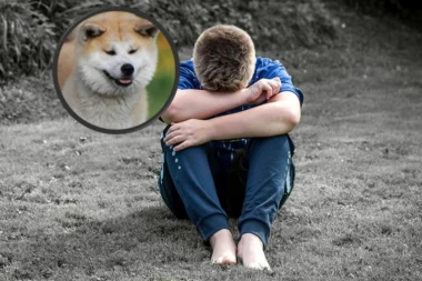 Luka (9) plače u snu nakon što ga je rastrgao pas! Bolno svedočenje dečaka