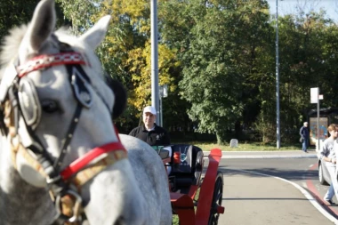 Guberinić u fijakeru do Vlade: Za ministarku na poklon koverta, a u njoj - Forbs!