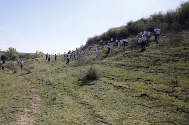 Lav pivo započelo obnovu staništa orla krstaša