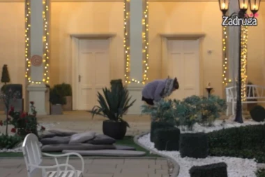 (FOTO) Haos u Miljaninom apartmanu! Sigurnosne kamere snimile JEZIVE prizore: Evo šta Marija radi sa malim Željkom!