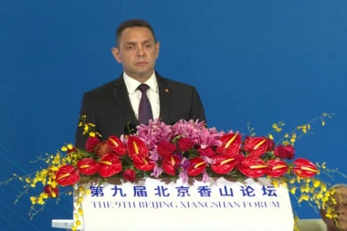 Vulin: Najveći problem sveta je nepoštovanje međunarodnog prava