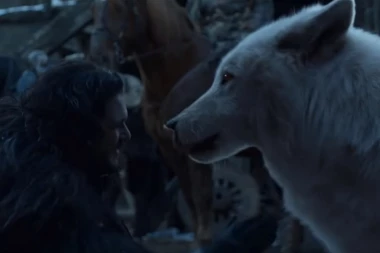 Popularnost serije “Igra prestola” ugrozila pse?! Evo kako!