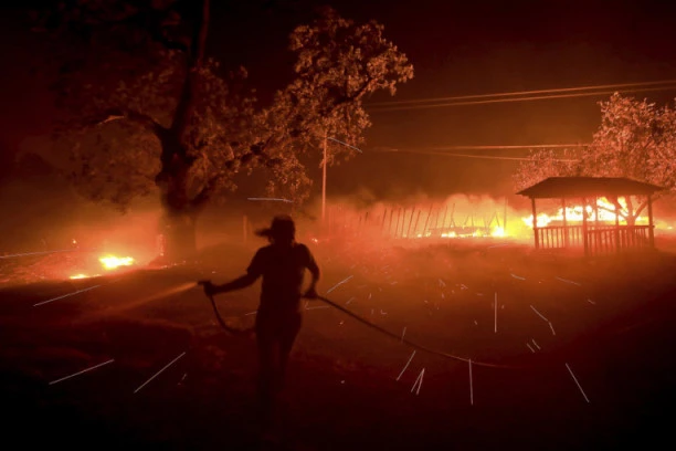 U Crnoj Gori buknuli požari na čak 11 lokacija: Evo šta je uzrok!