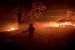GORI PŠENICA KOD KIKINDE: Veliki požar zahvatio žitorodna polja - vatrogascima pomažu i traktori sa tanjiračama