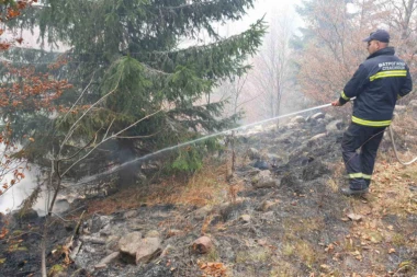 Lokalizovan požar Suvoj planini: Nema opasnosti za domaćinstva!