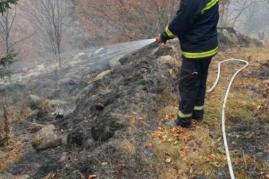 GORI BOROVA ŠUMA NA TARI: Vatra zahvatila preko 100 hektara