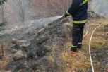 GORI BOROVA ŠUMA NA TARI: Vatra zahvatila preko 100 hektara