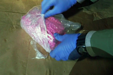 Uhapšen diler u Beogradu: Policija u stanu pronašla OGROMNU količinu DROGE i novca!