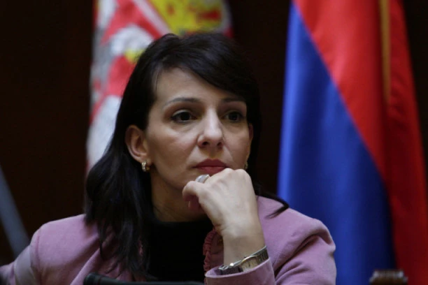 (VIDEO) I MARINIKA IMA SLABO PAMĆENJE: Napala Vučićev spot, ali je "zaboravila" jednu sitnicu