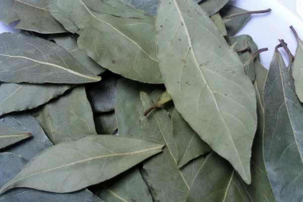 STARA FENG ŠUI TAJNA: Evo kako da za NEKOLIKO MINUTA otkrijete da li je LOŠA ENERGIJA ušla u vaš DOM!