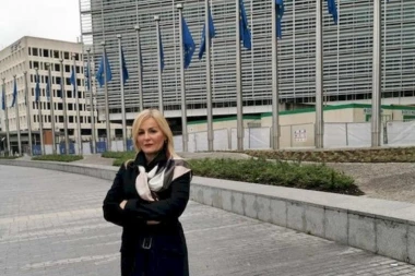 Paunović: Transparentnost u ostvarivanju prava nacionalnih manjina