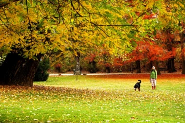 Termometar nastavlja da divlja! U utorak 17 °C, stručnjaci upozoravaju: Lepo vreme ne prija NJIMA