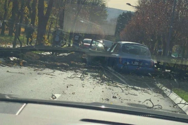 VETAR NAPRAVIO HAOS U BANJALUCI: Drvo palo na DVA AUTOMOBILA!