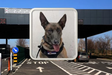 Neron - zlatna njuška srpske carine! Osetio miris u kolima dok je bilo u pokretu