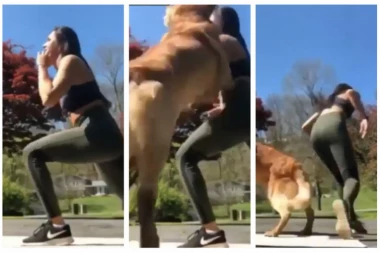 (VIDEO) Pakleni napad psa: Vežbanje opasno po život, devojka samo što nije umrla od straha!