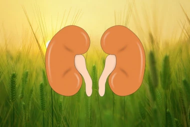 KAMEN U BEŠICI ILI BUBREGU: Kako PREPOZNATI i LEČITI ovaj bolni zdravstveni PROBLEM?